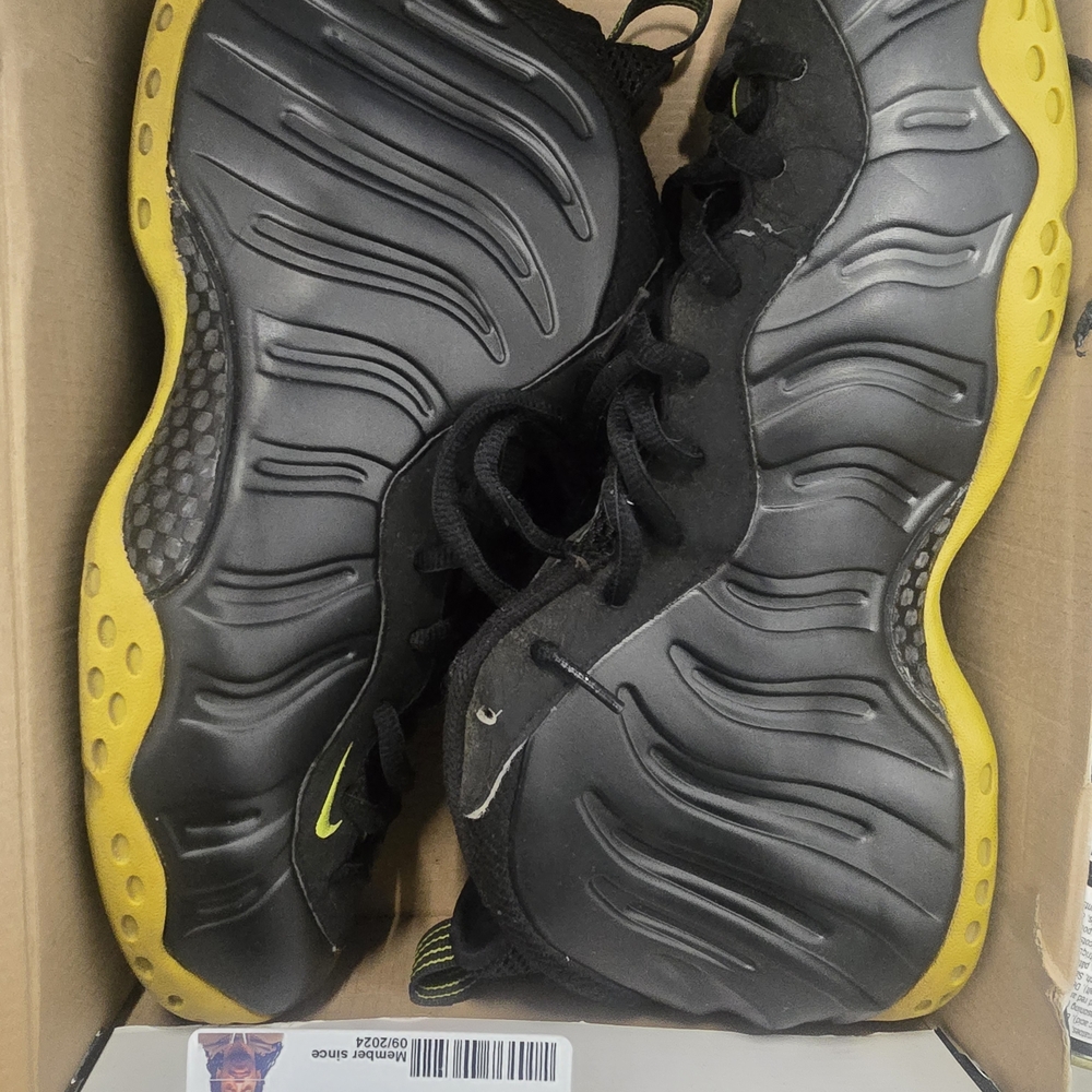 Nike Foamposite Cactus sz11
